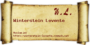 Winterstein Levente névjegykártya